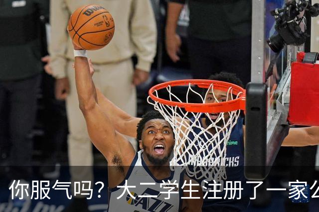 你服气吗？大二学生注册了一家公司，员工名单上只有他自己，而他一年营收达到了60万